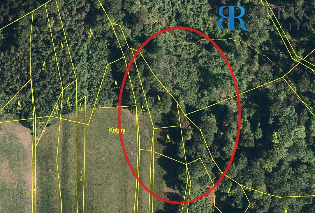 Prodej lesa 30000 m² – fotografie 2