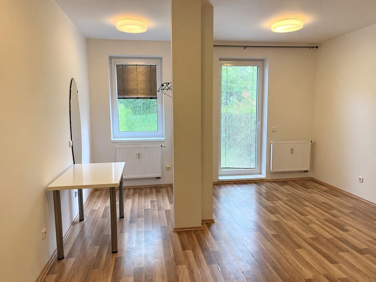 Pronájem bytu 1+kk 30 m² – fotografie 3