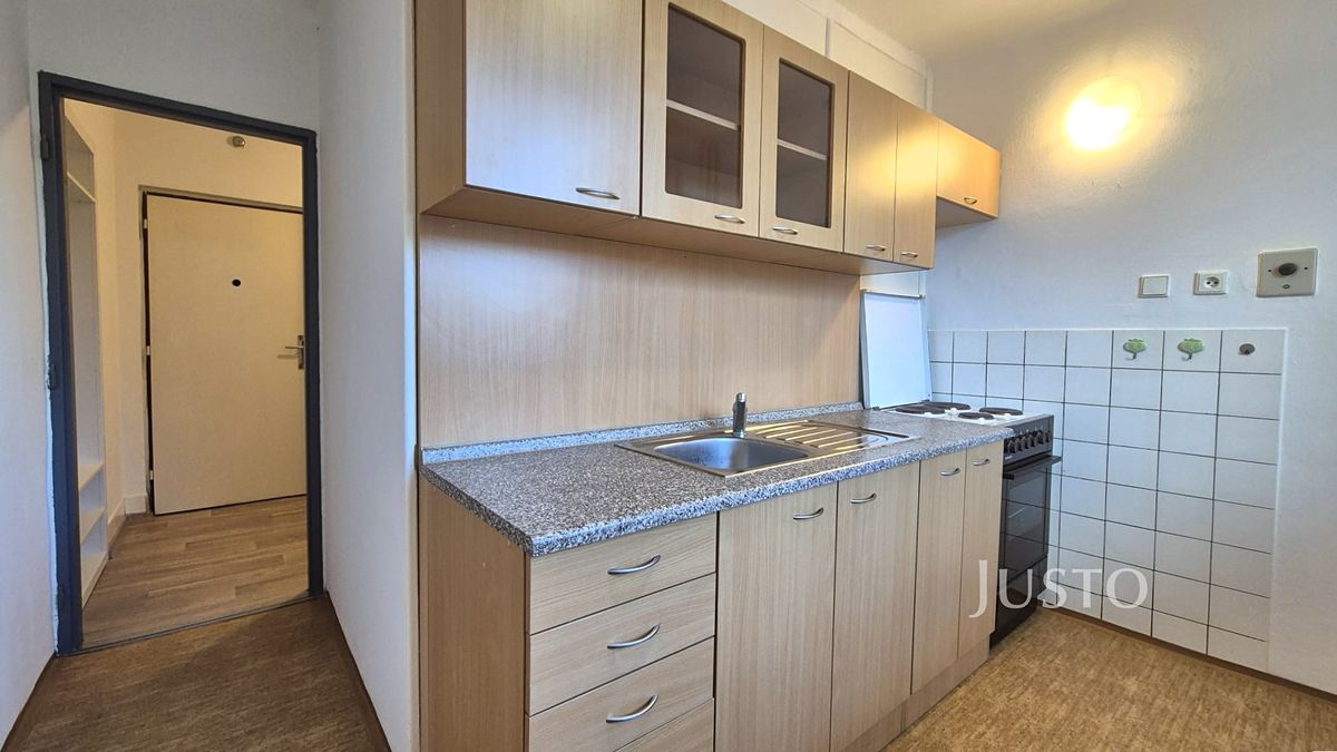 Pronájem bytu 1+1 34 m²