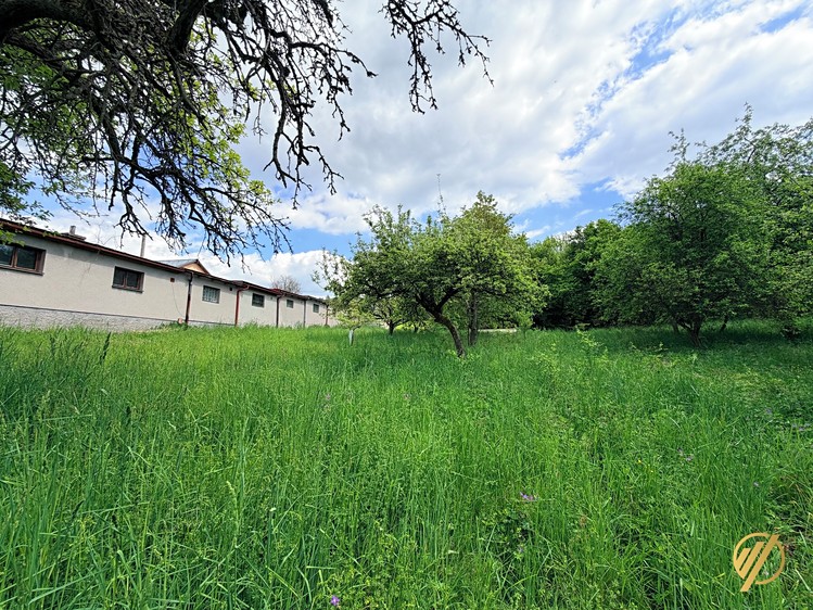 Haus zum Kauf, 290 m² (6 von 33)