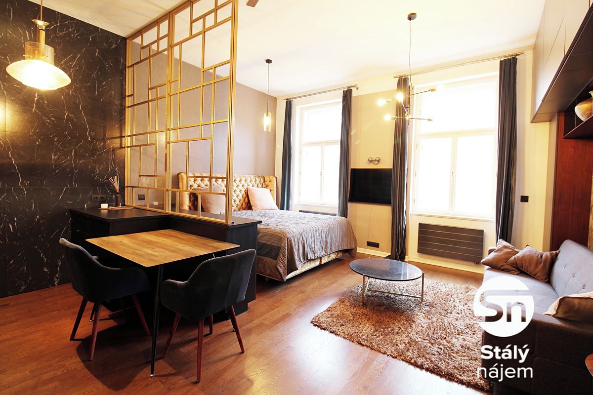 Pronájem bytu 1+kk 41 m² – fotografie 2