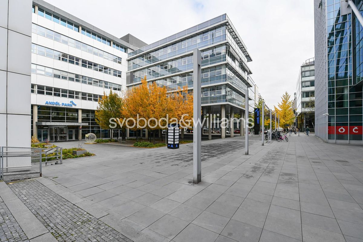 Pronájem kanceláře 810 m² – fotografie 5