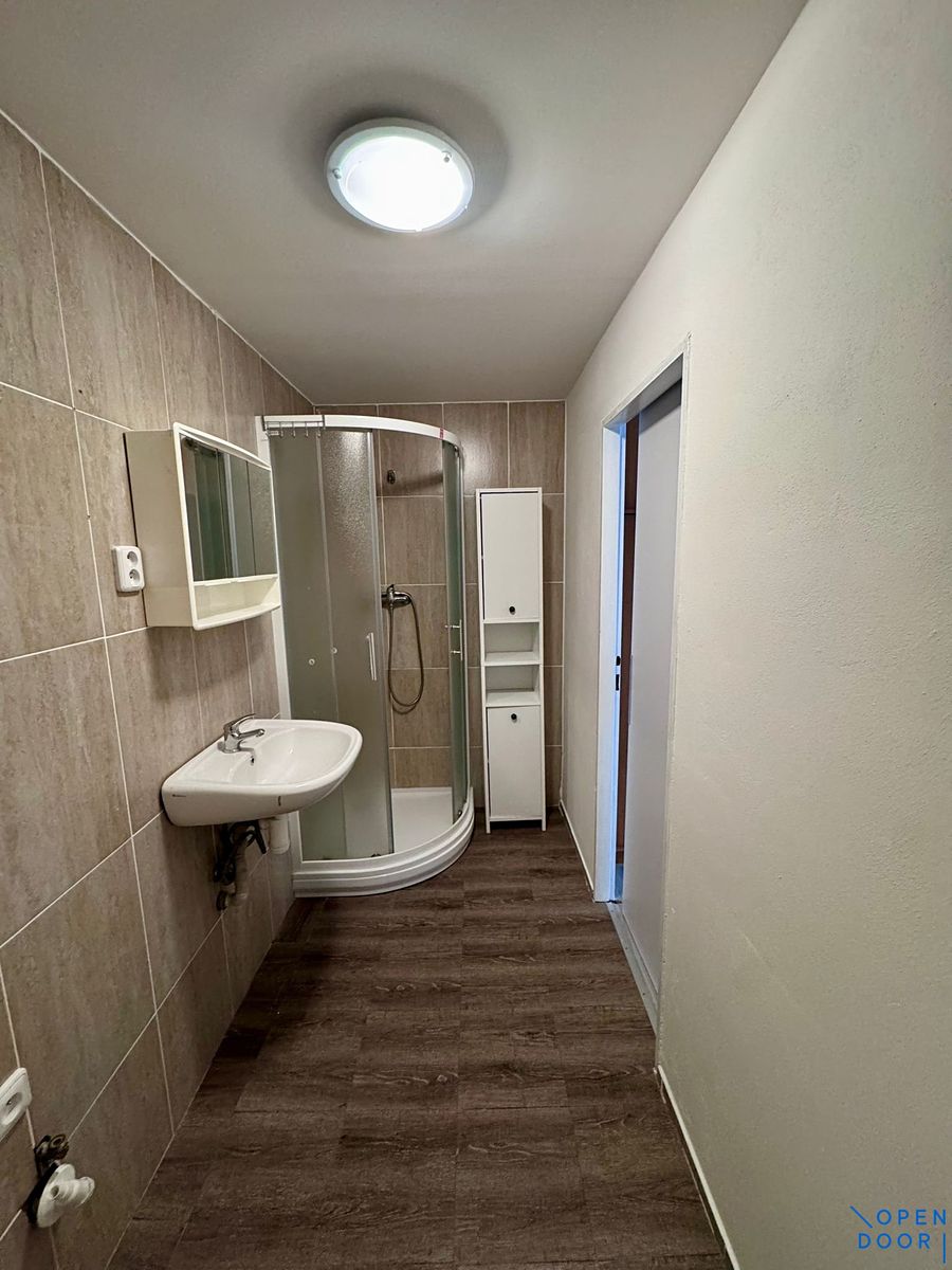 Pronájem bytu 1+1 36 m² – fotografie 3