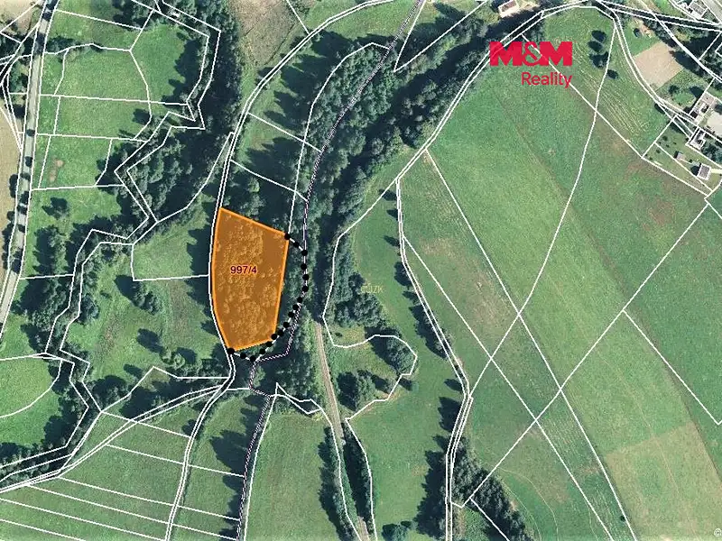 Prodej lesa 9502 m², Bernartice – náhled fotky 1