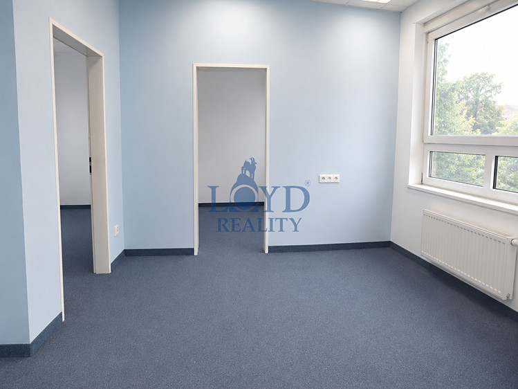 Pronájem komerčního prostoru, 274 m² (14 z 22)