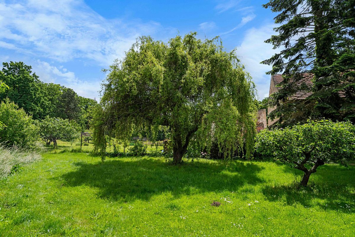 Pronájem bytu pokoje 15 m² – fotografie 5