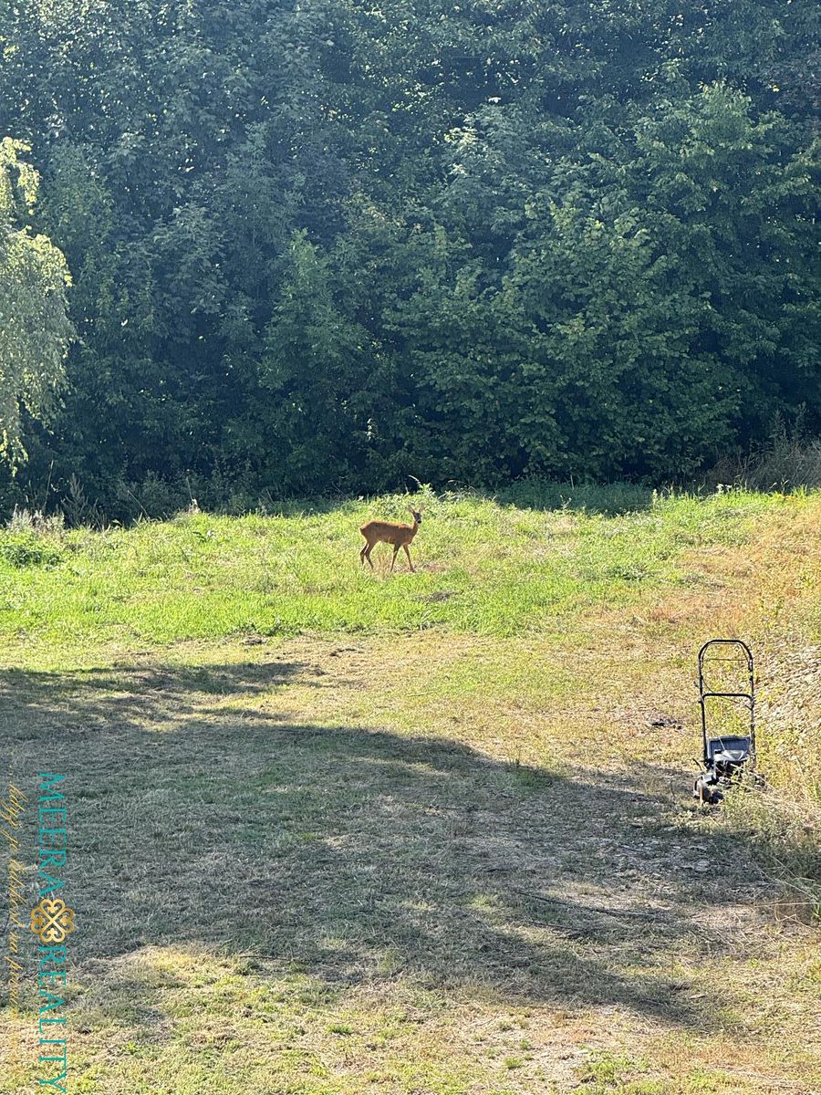 Prodej rodinného domu 210 m², pozemek 3825 m² – fotografie 4