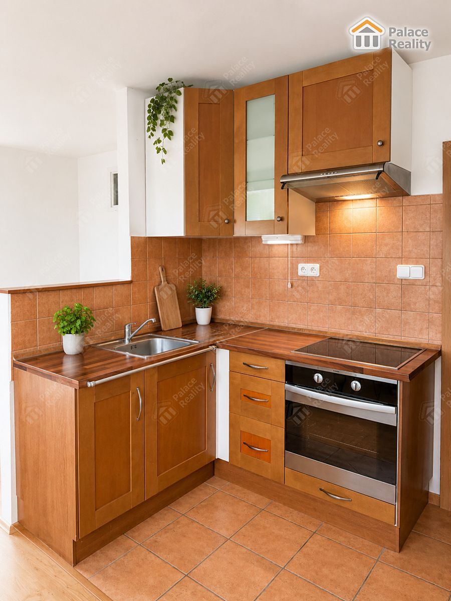 Pronájem bytu 1+kk 41 m²