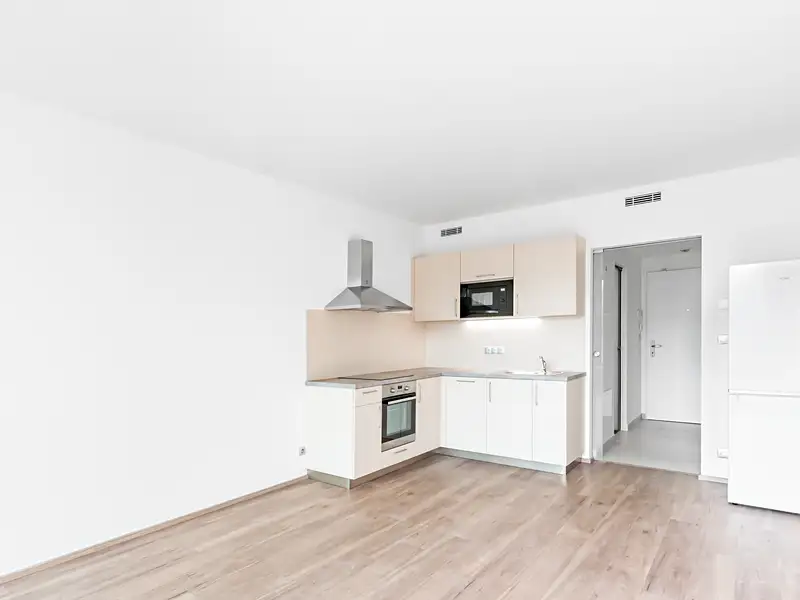 Pronájem bytu 1+kk 36 m², Praha – náhled fotky 1