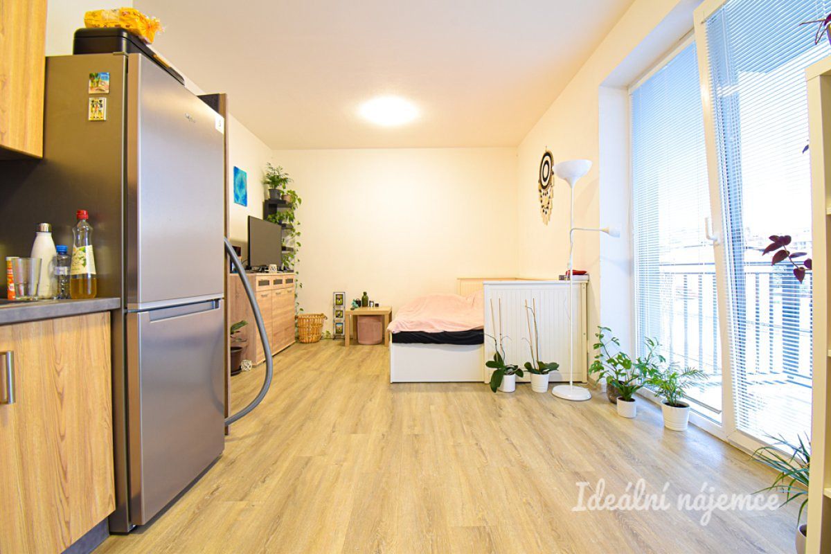 Pronájem bytu 1+kk 33 m² – fotografie 3
