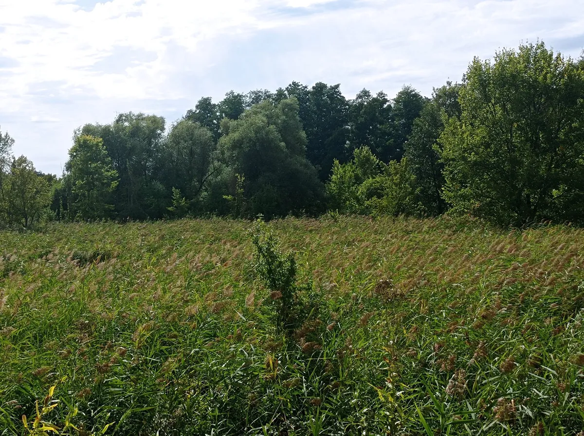 Prodej pozemku 6724 m²