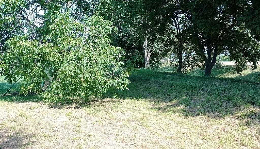 Prodej komerčního pozemku 1200 m²