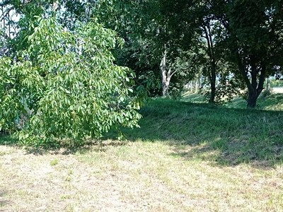 Prodej pozemku, 1 200 m² (3 z 8)