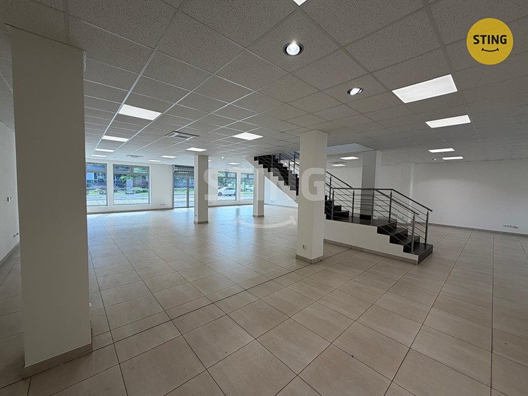 Gewerbefläche zur Miete, 350 m² (8 von 22)