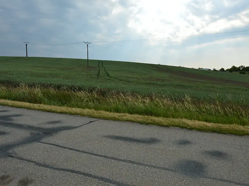Prodej pole 1002 m², Rousínov – náhled fotky 1