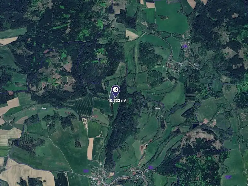 Prodej louky 10333 m², Čmelíny – náhled fotky 2