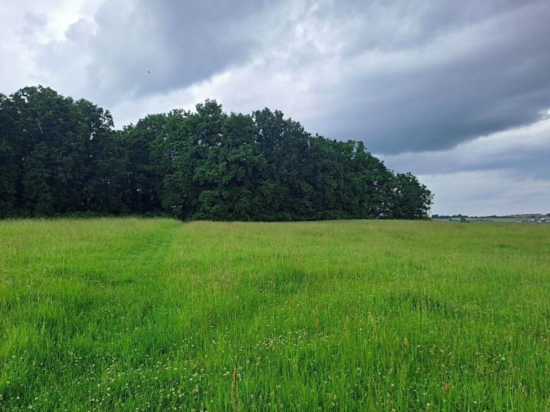 Prodej lesa 9809 m², Chvalovice – fotka 1 z 3