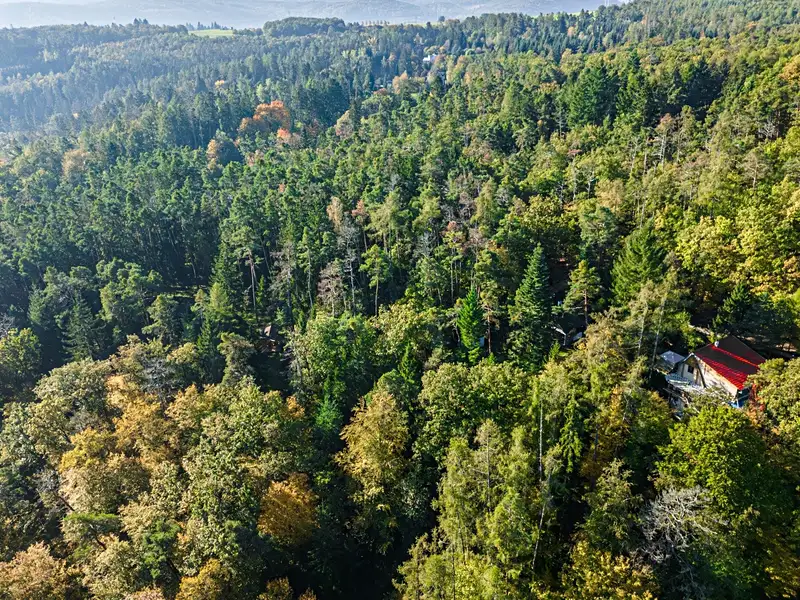Prodej chaty 102 m², pozemek 2845 m², Štěchovice – náhled fotky 2