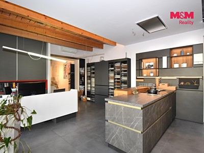 Pronájem komerčního prostoru, 234 m² (3 z 14)