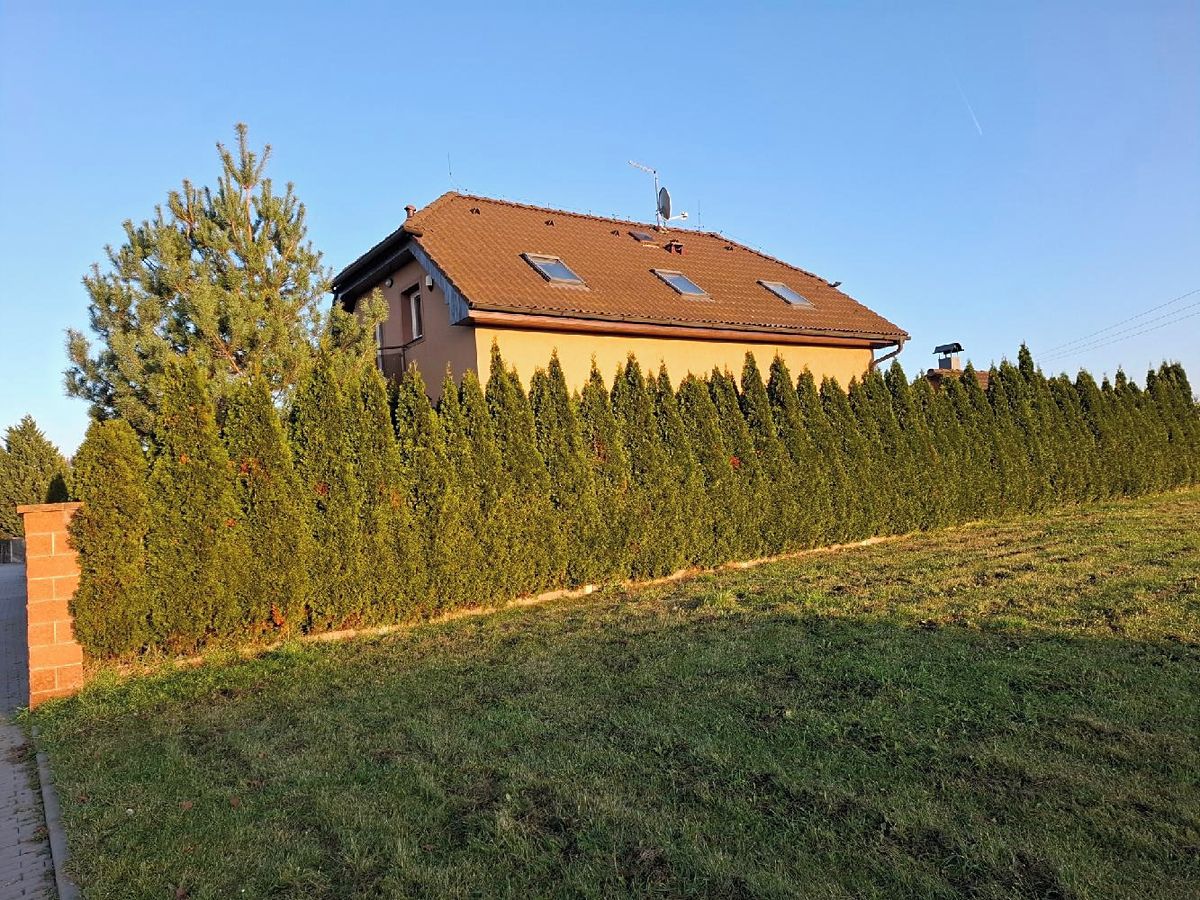 Prodej rodinného domu 290 m², pozemek 979 m² – fotografie 4