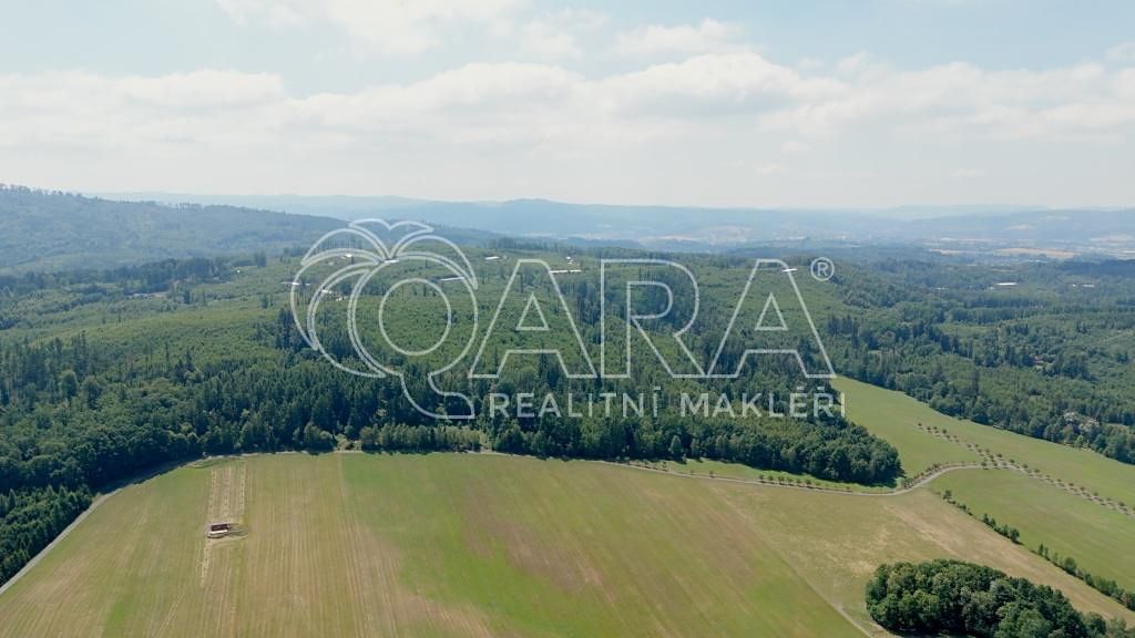 Prodej lesa 17015 m² – fotografie 2