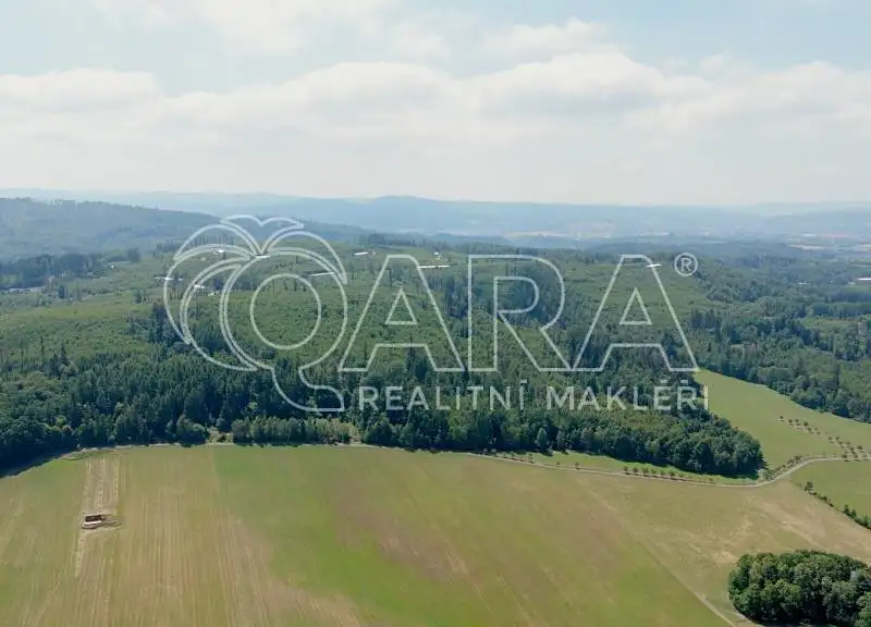Prodej lesa 17015 m², Hostašovice – náhled fotky 2