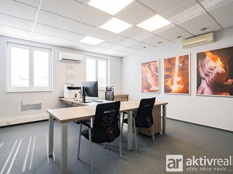 Pronájem komerčního prostoru, 240 m² (14 z 27)