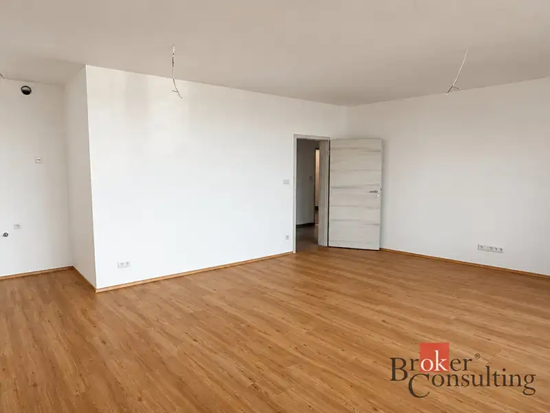 Prodej bytu 2+kk 55 m², Plzeň – náhled fotky 3