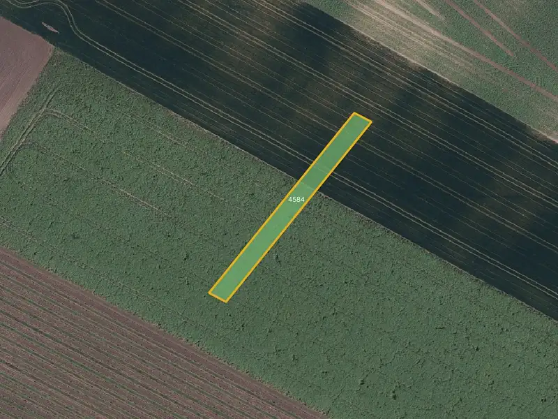 Prodej pole 10860 m², Klobouky u Brna – náhled fotky 3