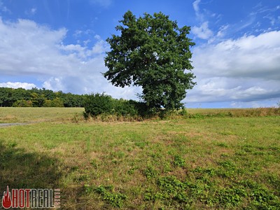 Prodej pozemku, 1 110 m² (3 z 10)
