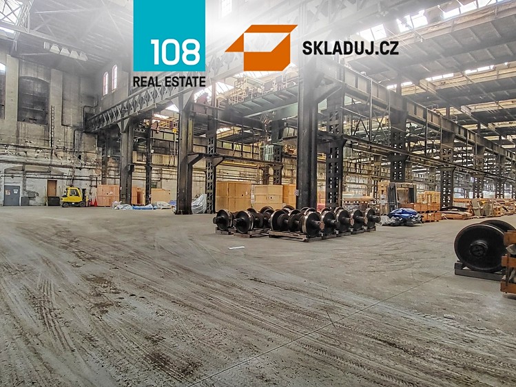 Pronájem komerčního prostoru, 10 000 m² (9 z 12)