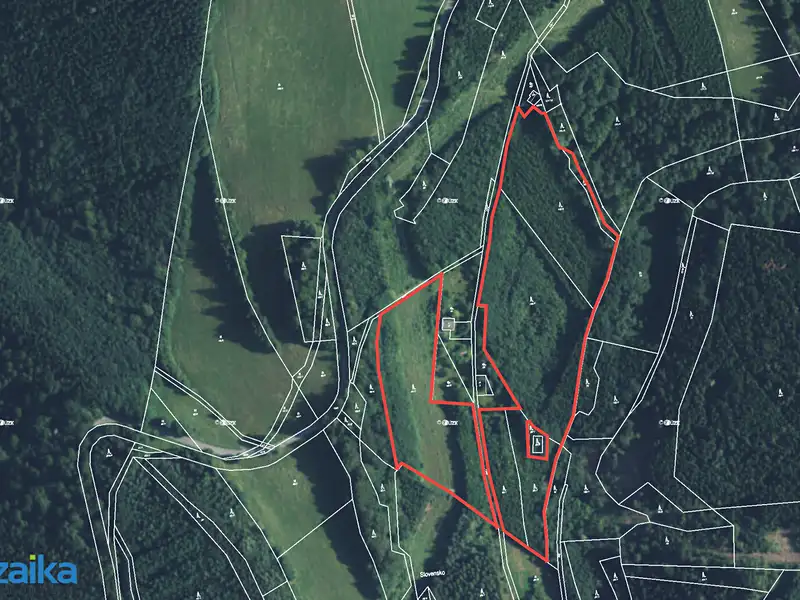 Prodej lesa 40093 m², Strážná – náhled fotky 3