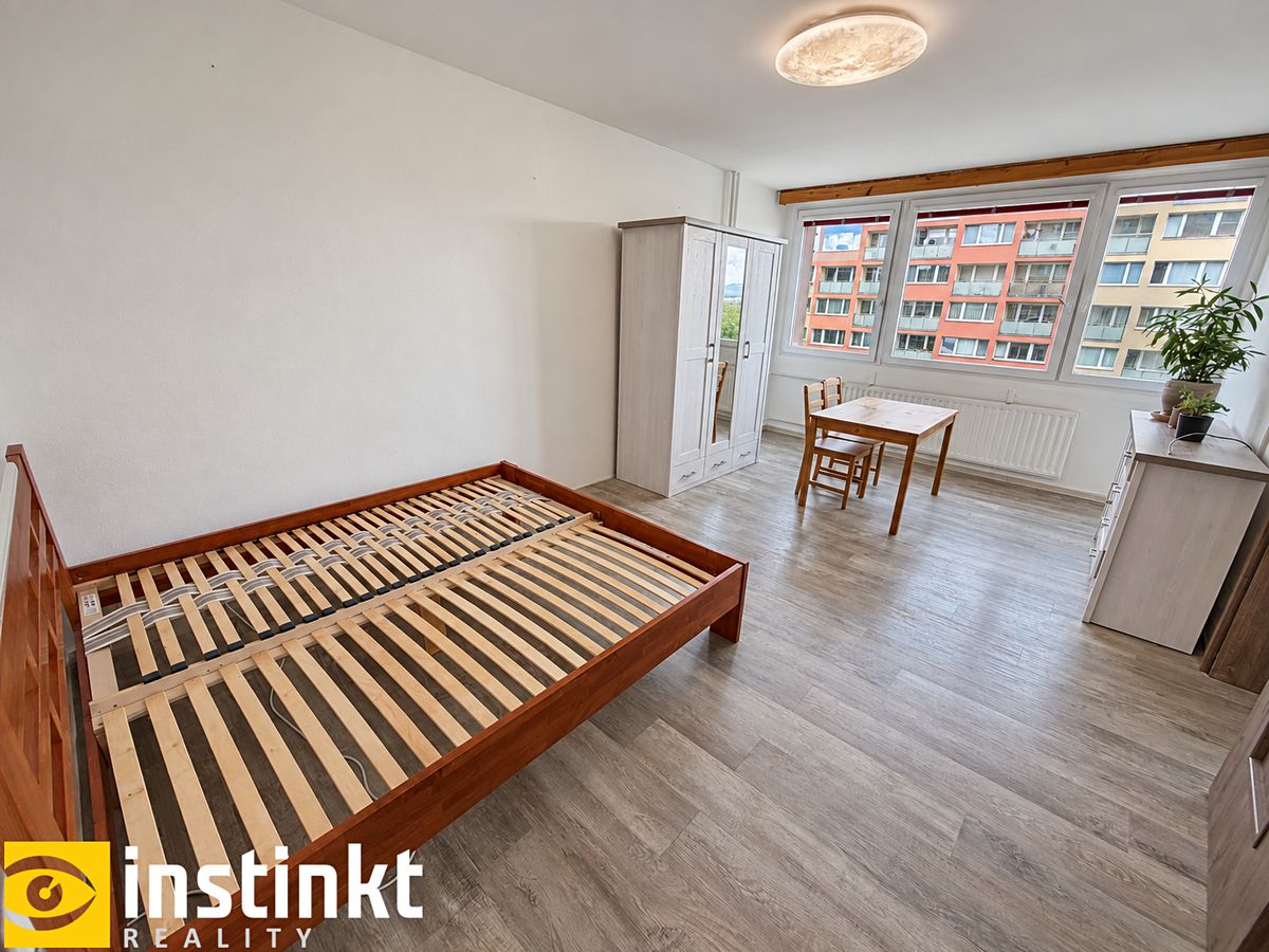 Pronájem bytu 1+1 47 m² – fotografie 4