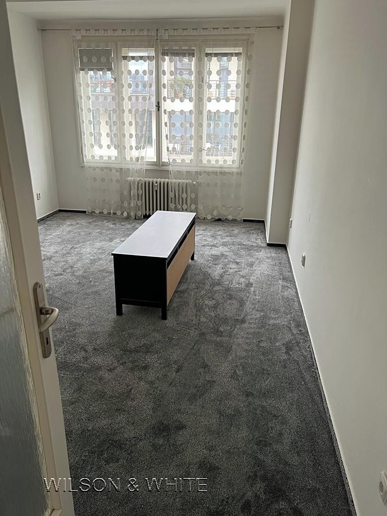 Pronájem bytu 1+1 46 m² – fotografie 5