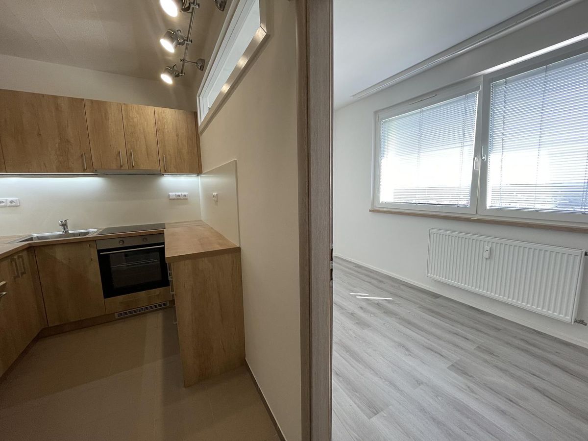 Pronájem bytu 2+1 45 m² – fotografie 3