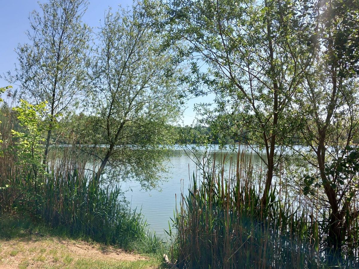 Prodej chaty 36 m², pozemek 371 m² – fotografie 2
