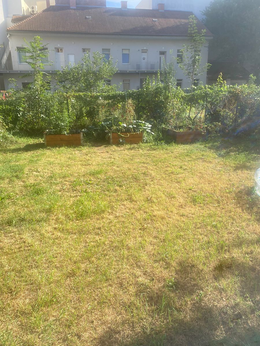 Pronájem bytu 1+kk 26 m²
