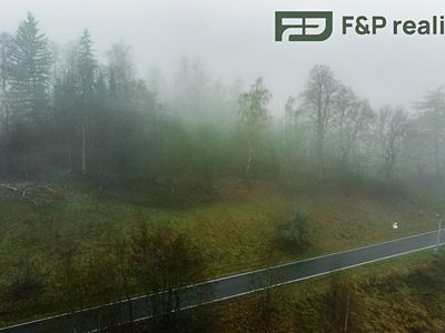 Prodej louky 2936 m²