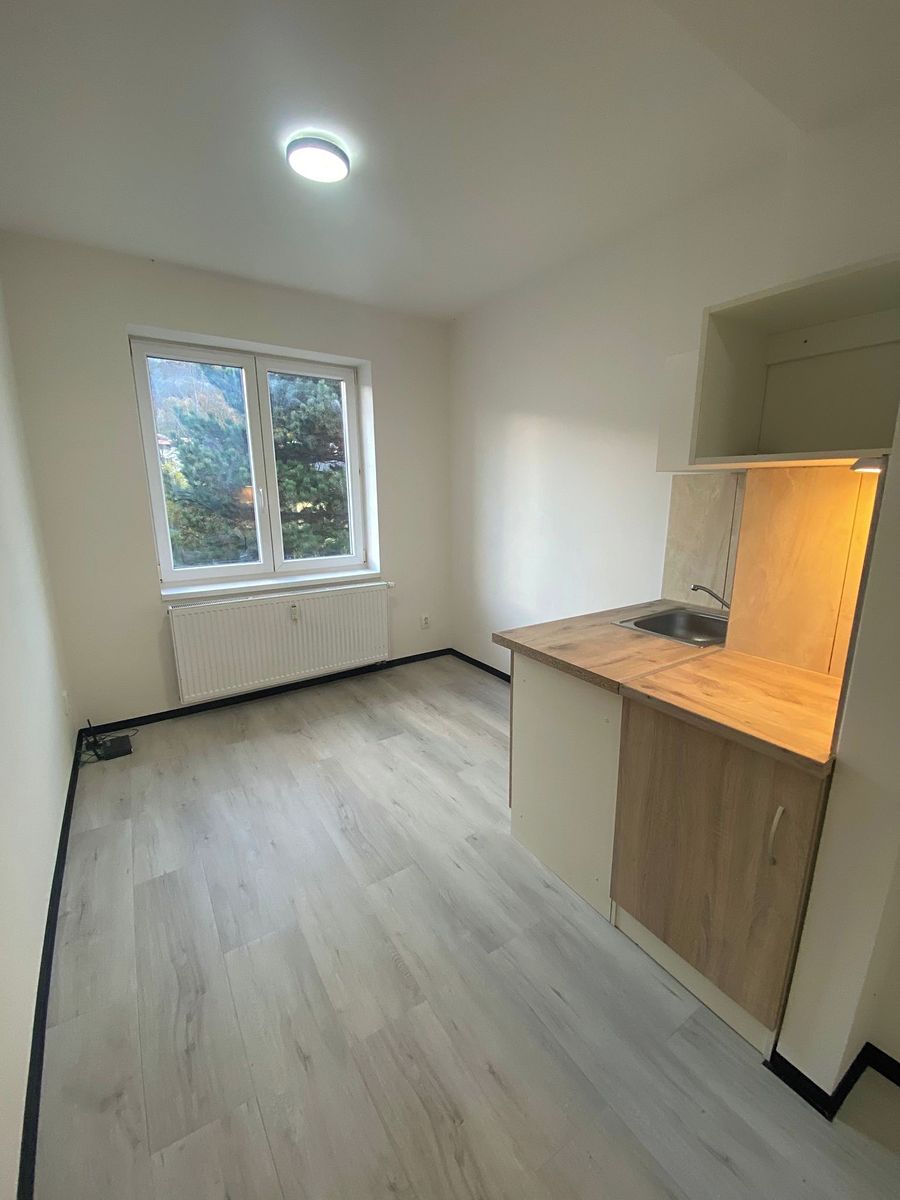 Pronájem bytu 1+kk 18 m² – fotografie 5