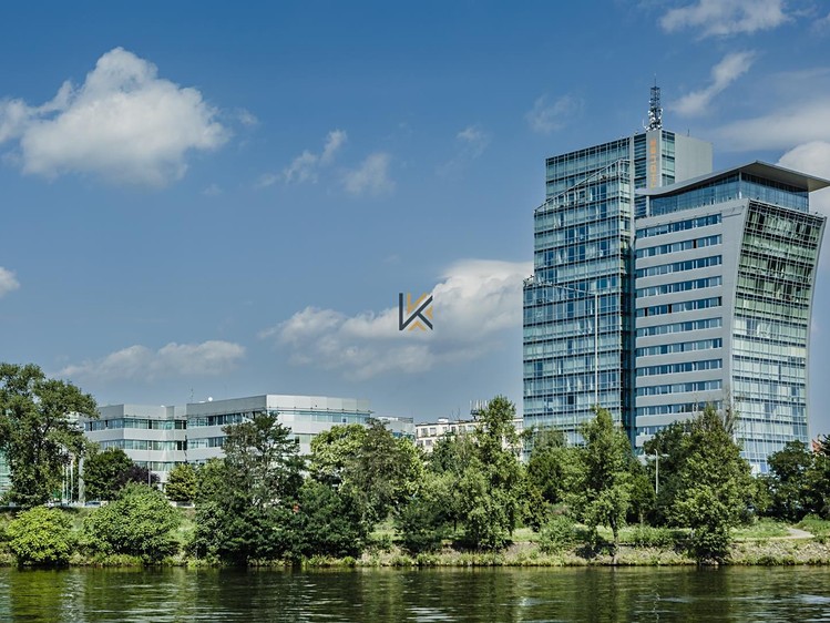 Комерційне приміщення в оренду, 291 м² (5 з 6)