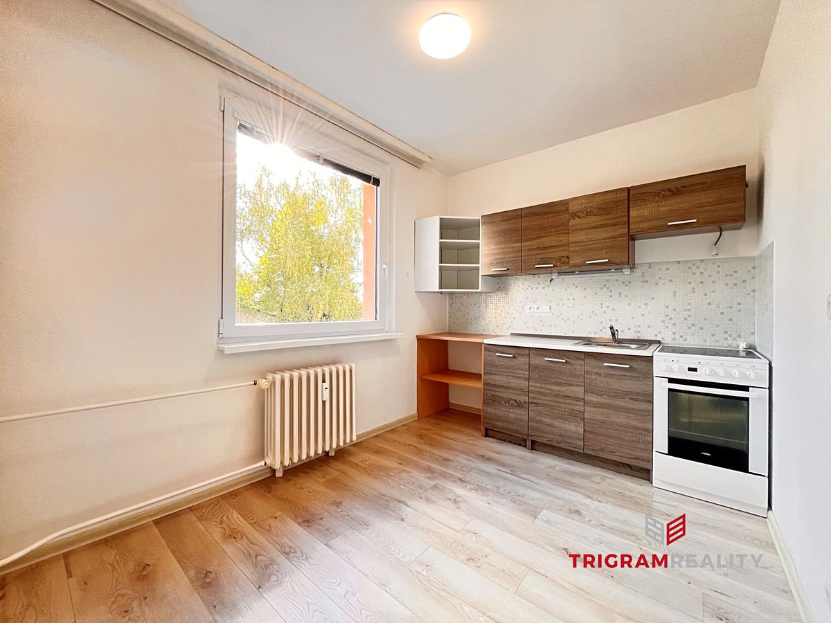 Pronájem bytu 1+1 40 m² – fotografie 2