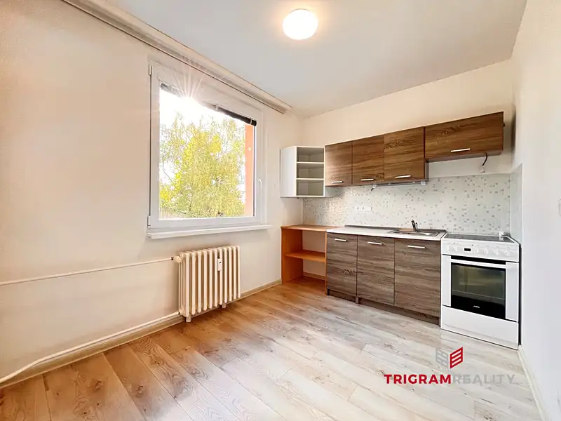 Pronájem bytu 1+1 40 m², Rychnov nad Kněžnou – náhled fotky 2