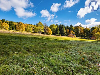 Prodej louky 6572 m²