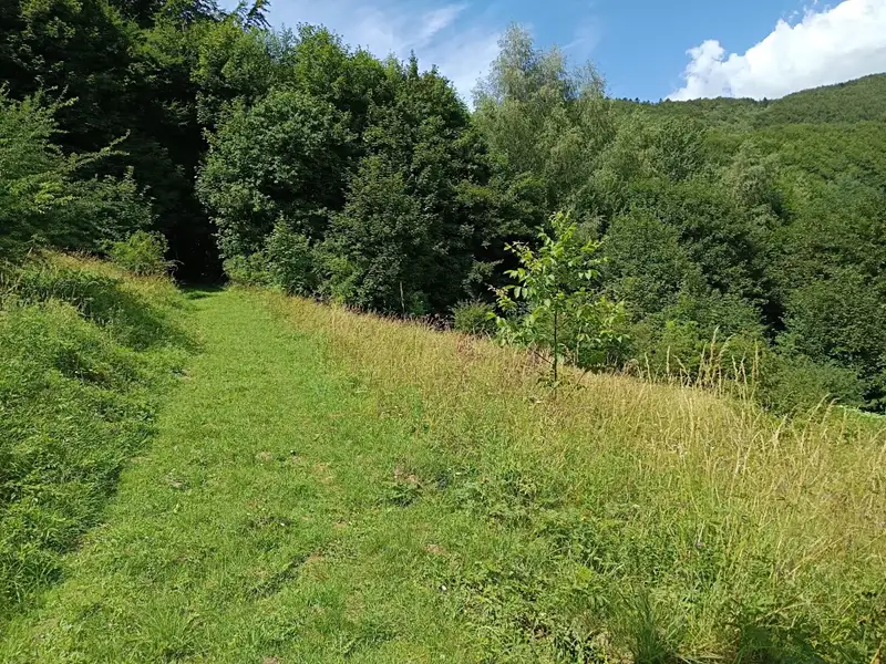 Prodej pozemku 42844 m², Lopeník – náhled fotky 2