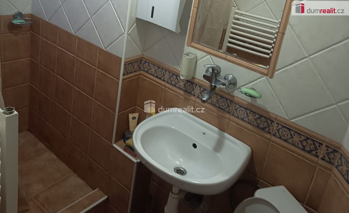 Pronájem bytu atypický 17 m² – fotografie 4
