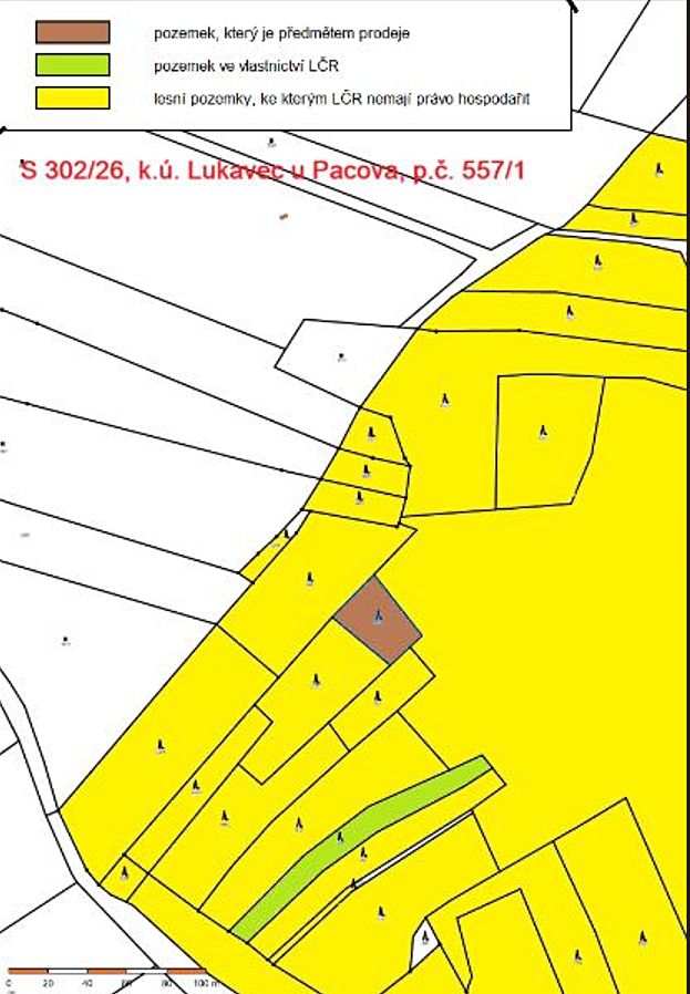 Prodej lesa 978 m²