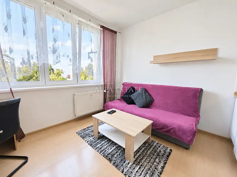 Pronájem bytu 1+kk 18 m², Karlovy Vary – náhled fotky 3