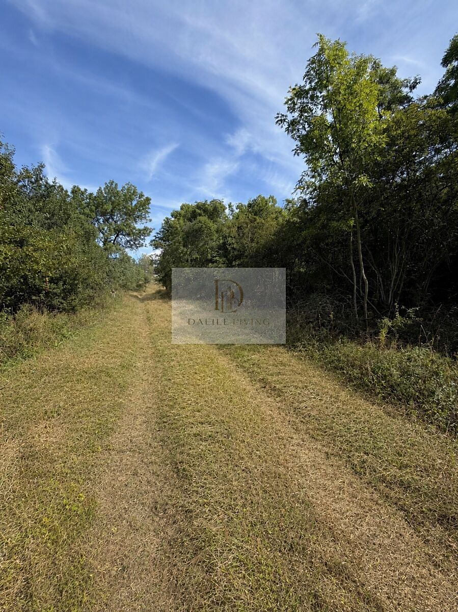 Prodej stavebního pozemku 1591 m² – fotografie 2