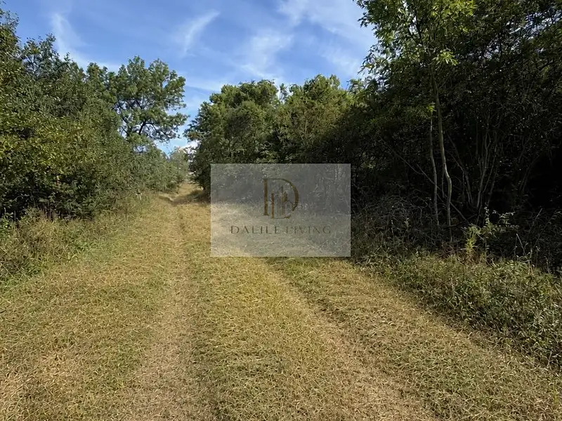 Prodej stavebního pozemku 1591 m², Podbořany – náhled fotky 2