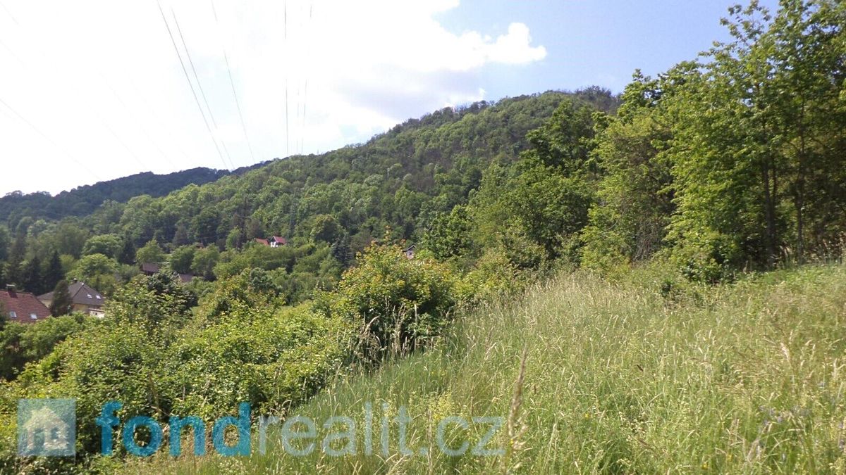 Prodej pole 1346 m² – fotografie 3